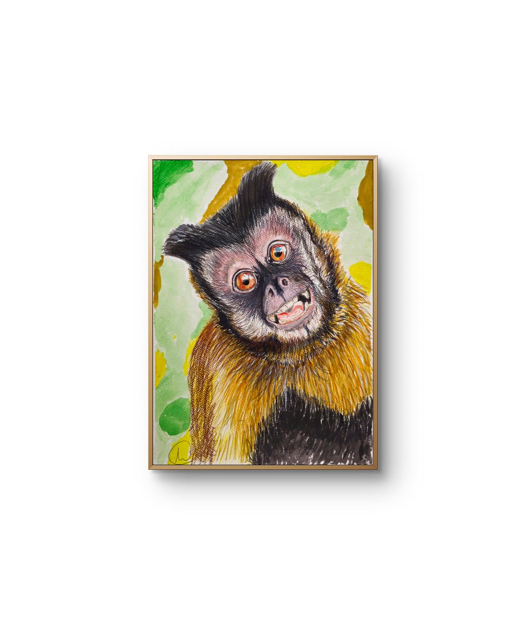 A3 Tufted Capuchin Print